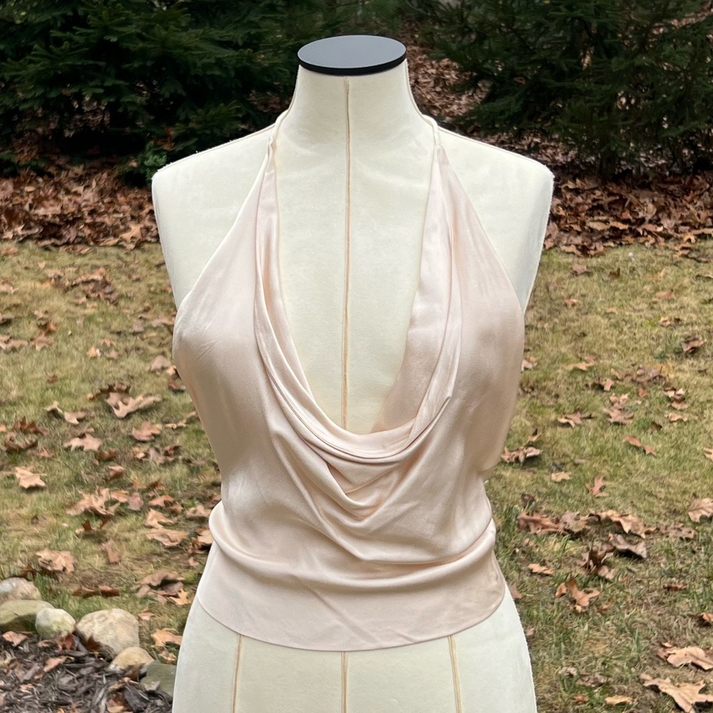 Zara Satin Cream Backless Deep Dive Tie Crop Top Size Medium - Picture 5 of 8